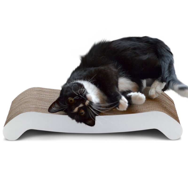 PetFusion Cat Scratching Board Reviews Wayfair